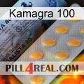 Kamagra 100 44